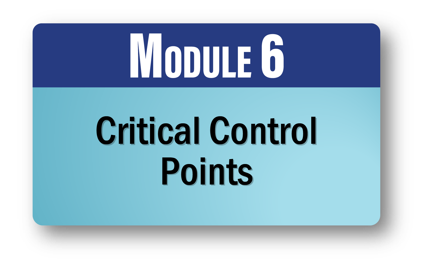 Module 6: Critical Control Points